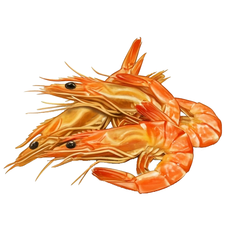 dried shrimp แปลว่า กุ้งแห้ง