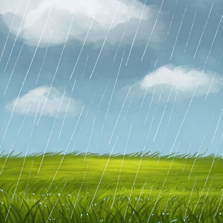 moderate rain แปลว่า มีฝนปานกลาง