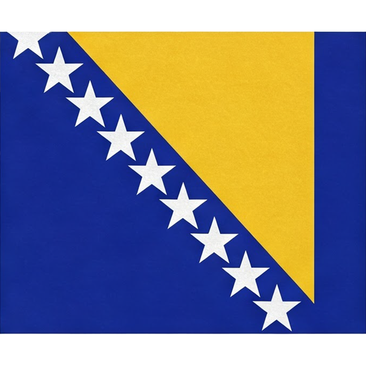Bosnia and Herzegovina แปลว่า บอสเนียและเฮอร์เซโกวีนา
