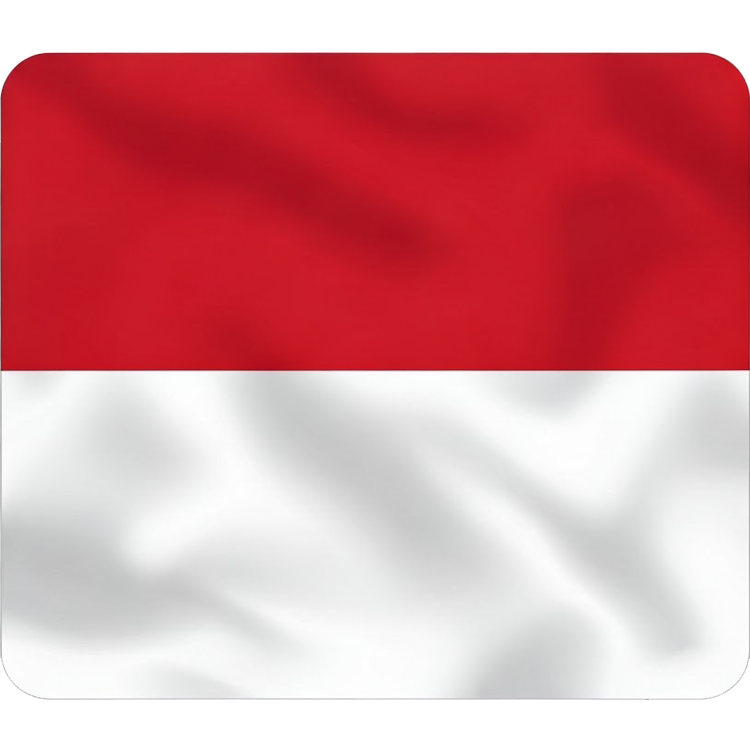 Monaco แปลว่า ราชรัฐโมนาโก