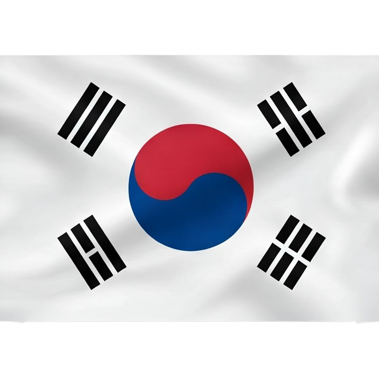 South Korea แปลว่า เกาหลีใต้