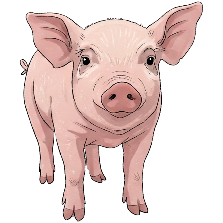 pig แปลว่า หมู