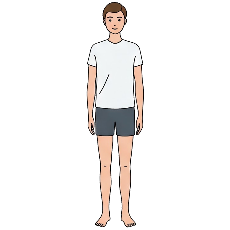 tall แปลว่า สูง