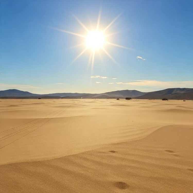 sunny แปลว่า แดดจ้า