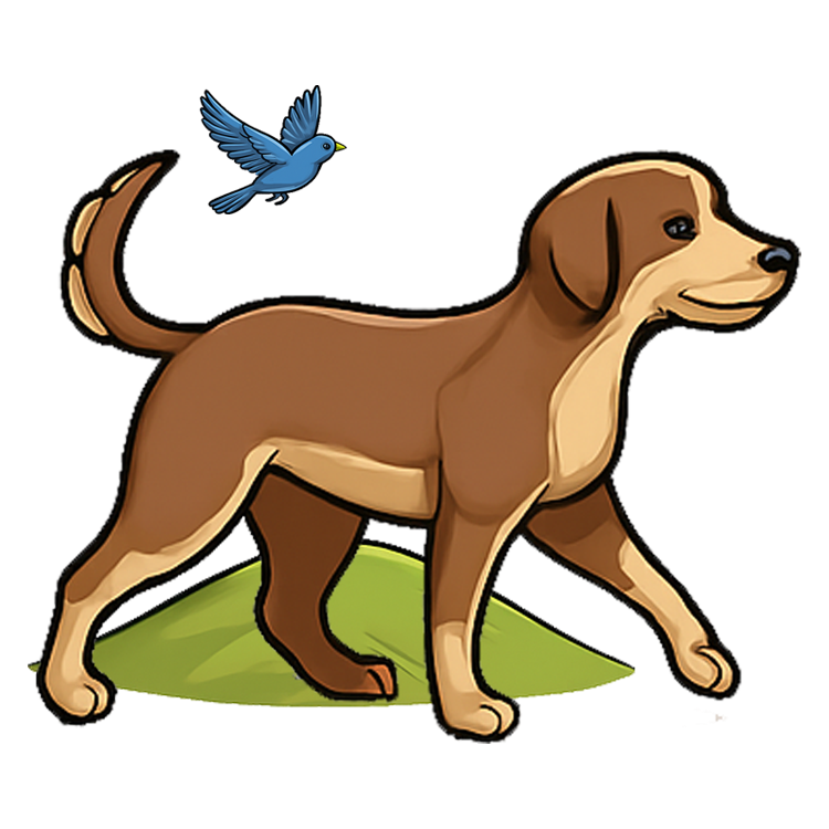 out แปลว่า ข้างนอก