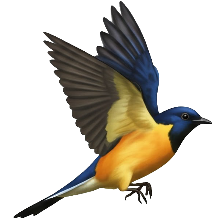 fly แปลว่า บิน