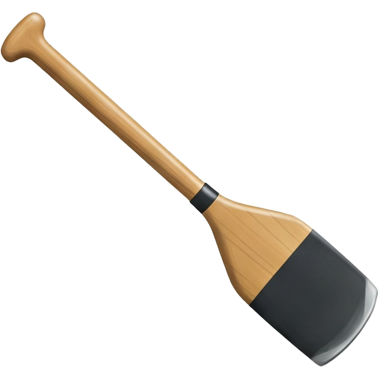 paddle แปลว่า พาย