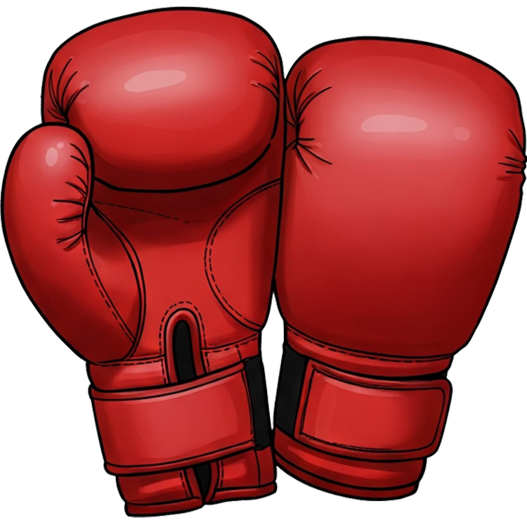 boxing glove แปลว่า นวมชกมวย