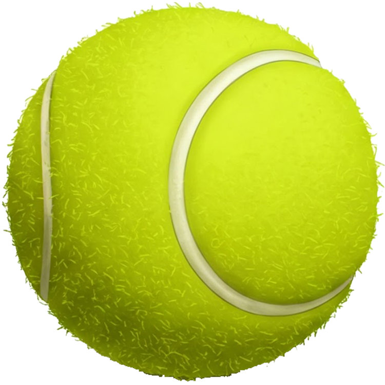 tennis ball แปลว่า ลูกเทนนิส