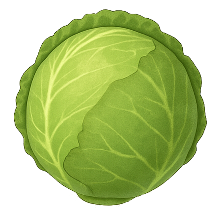 cabbage แปลว่า กะหล่ำปลี
