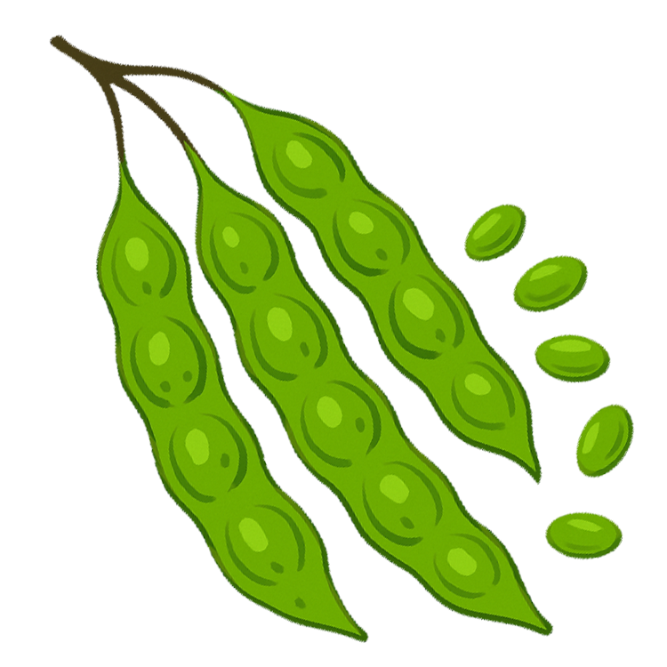 parkia แปลว่า สะตอ