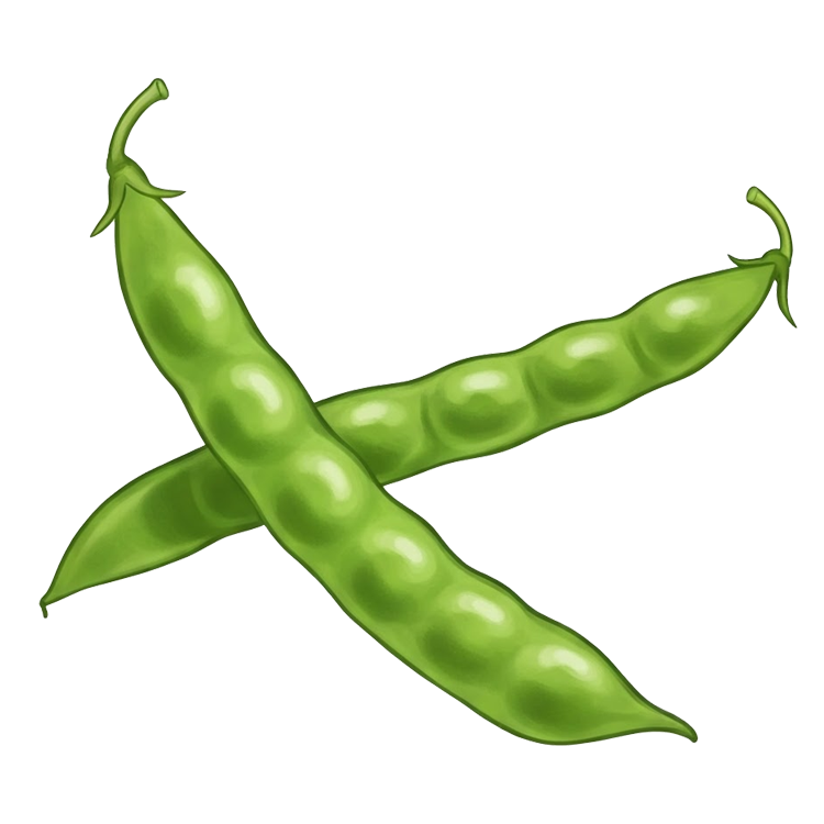 String bean แปลว่า ถั่วฝักยาว