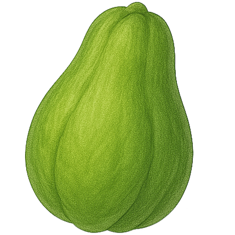 chayote แปลว่า ฟักแม้ว