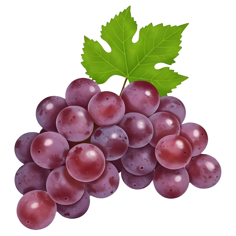 grape แปลว่า องุ่น