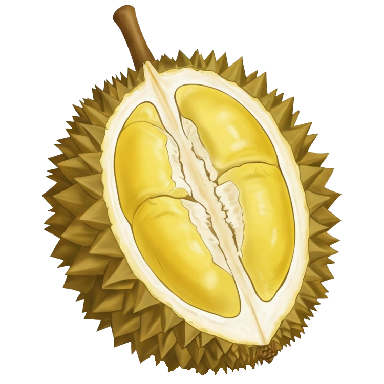 durian แปลว่า ทุเรียน