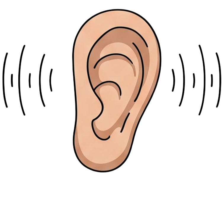 listen แปลว่า ฟัง