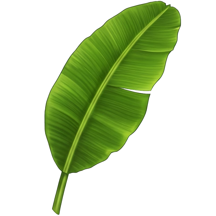 banana leaf แปลว่า ใบตอง