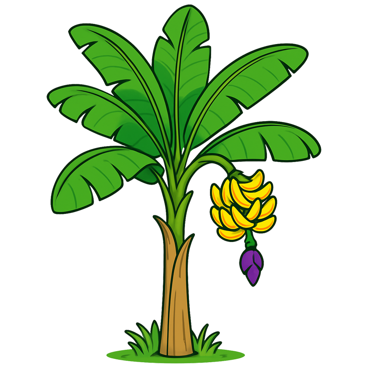 banana trunk แปลว่า ต้นกล้วย