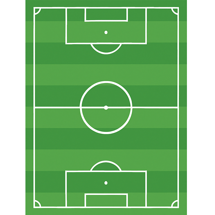 football court แปลว่า สนามฟุตบอล