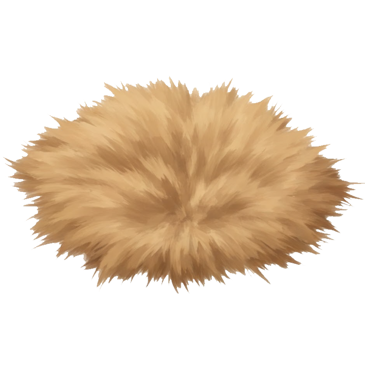 fur แปลว่า ขนสัตว์