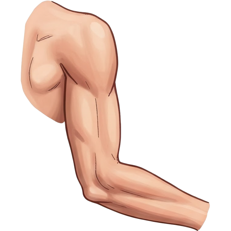 arm แปลว่า แขน