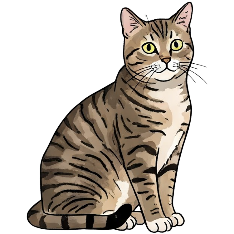 cat แปลว่า แมว