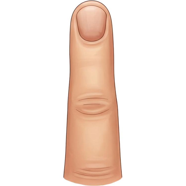 finger แปลว่า นิ้วมือ