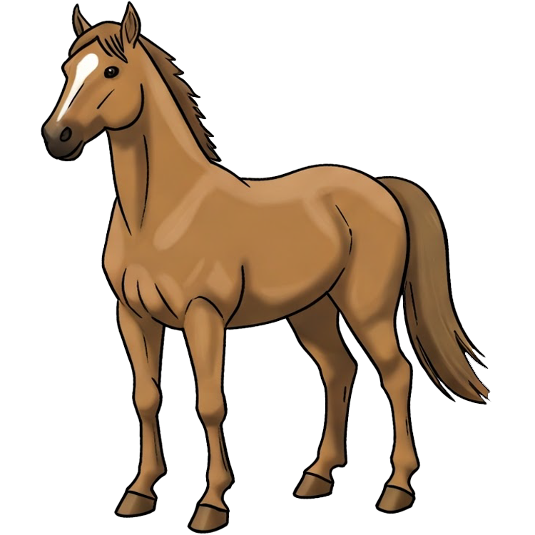 horse แปลว่า ม้า