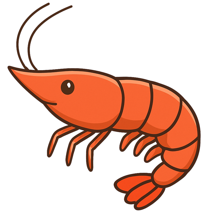 shrimp แปลว่า กุ้งเล็ก