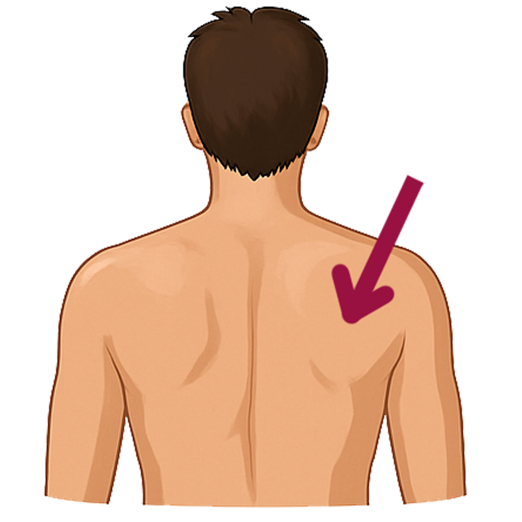 back แปลว่า หลัง