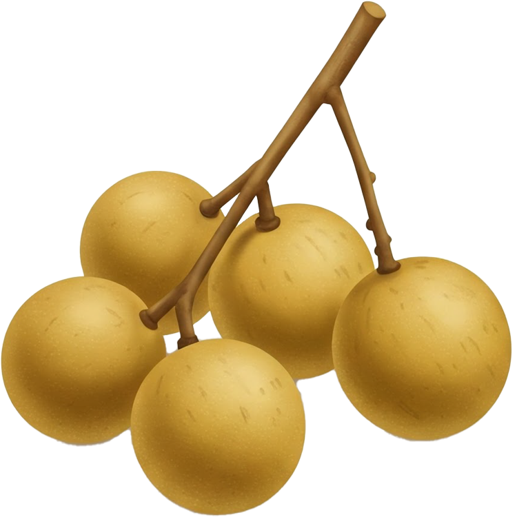 longan แปลว่า ลำใย