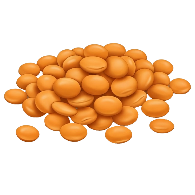 lentil แปลว่า ถั่วเลนทิล