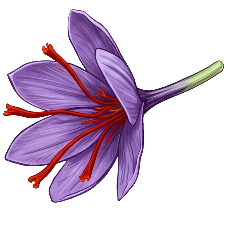 saffron แปลว่า หญ้าฝรั่น