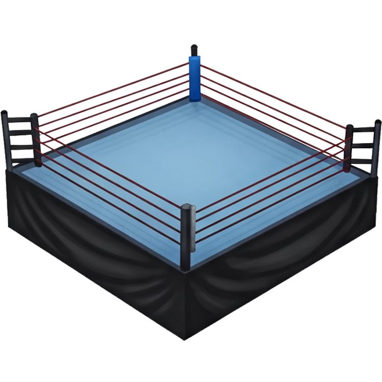 boxing ring แปลว่า เวทีมวย