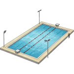 sport swimming