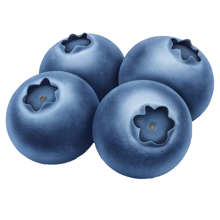 blueberry แปลว่า บลูเบอร์รี่