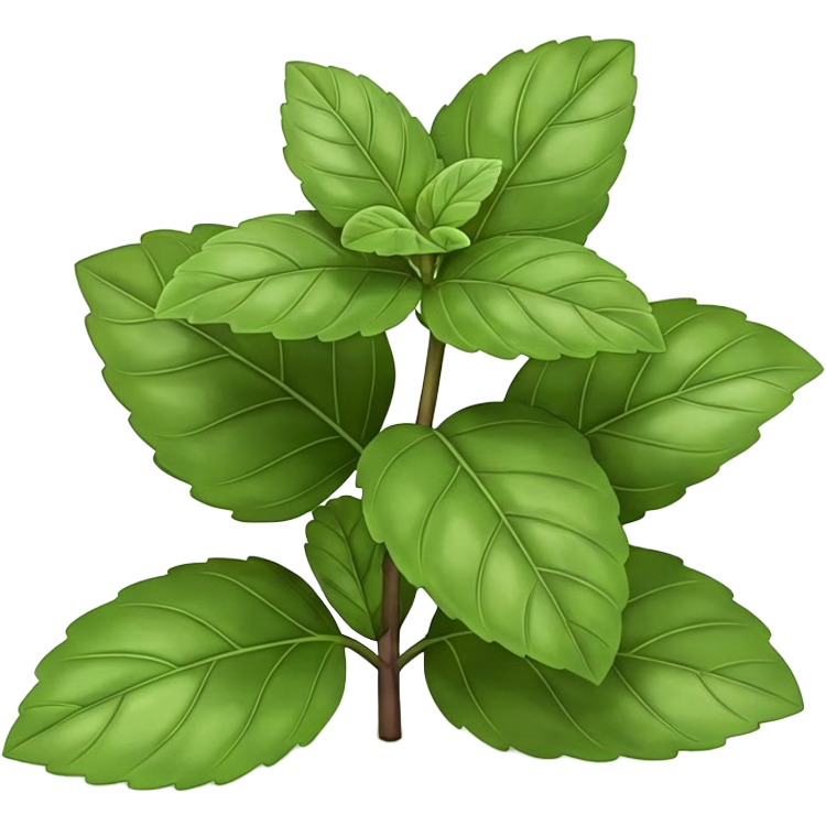 peppermint แปลว่า สะระแหน่