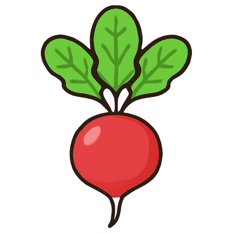 radish แปลว่า แรดิช (พืชประเภทหัวไชเท้า)