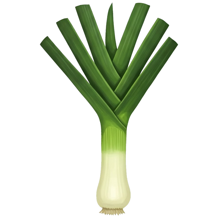 leek แปลว่า ต้นกระเทียม
