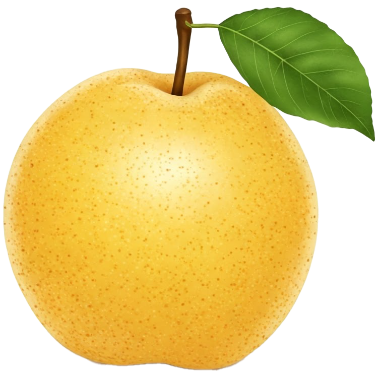 chinese pear แปลว่า สาลี่