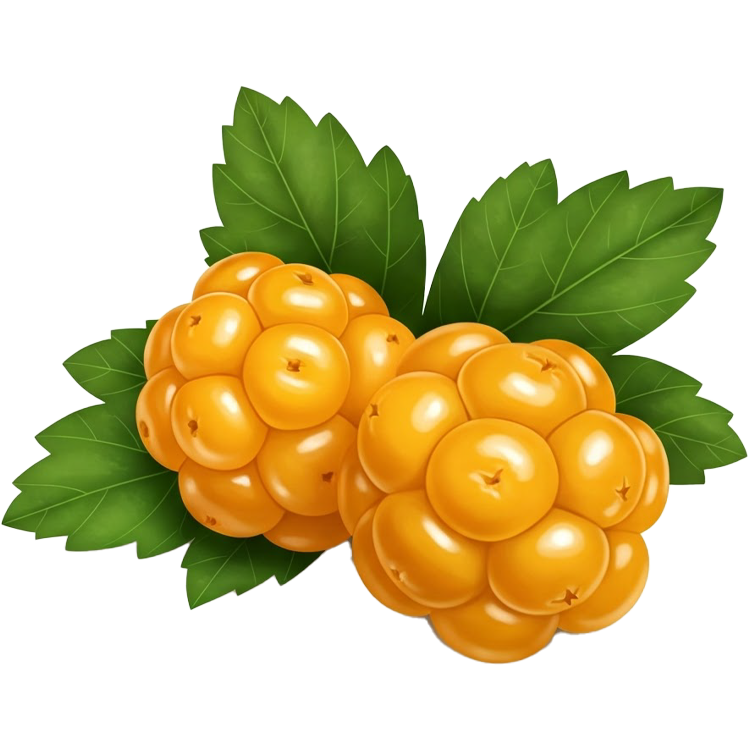 cloudberry แปลว่า คลาวด์เบอร์รี่
