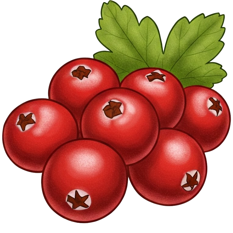 cranberry แปลว่า แครนเบอร์รี่