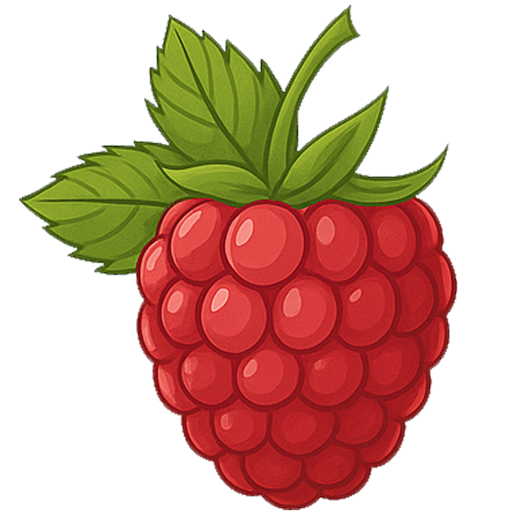 mulberry แปลว่า มัลเบอร์รี