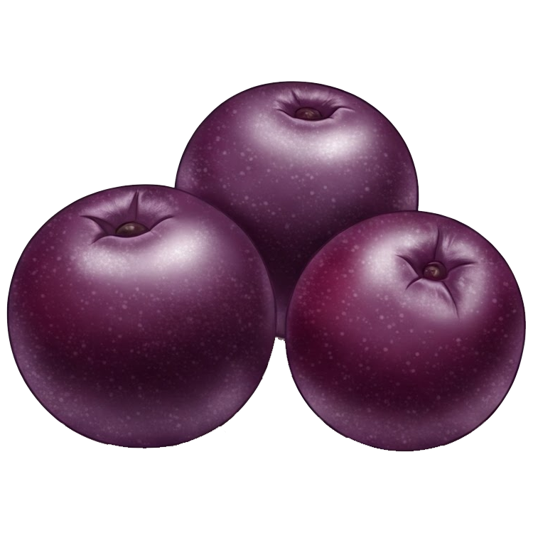 acai berry แปลว่า อะไซเบอร์รี่