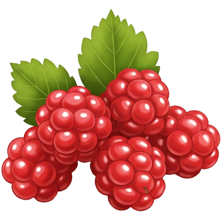 bunchberry แปลว่า บันช์เบอร์รี่