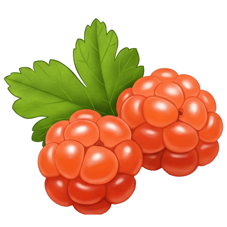 salmonberry แปลว่า แซลมอลเบอร์รี่