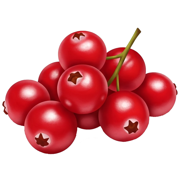 redcurrant แปลว่า เรดเคอร์แรนท์