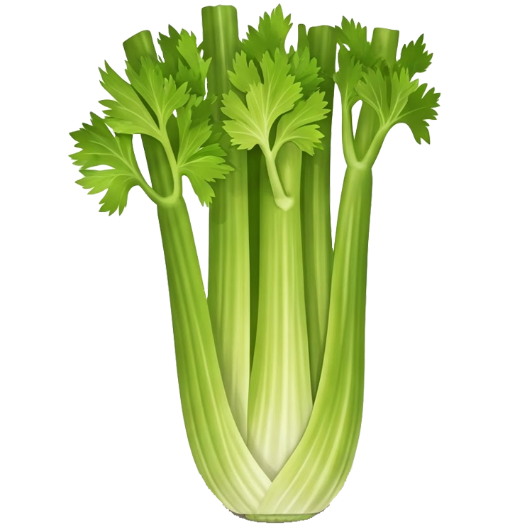 celery แปลว่า ผักคื่นช่าย