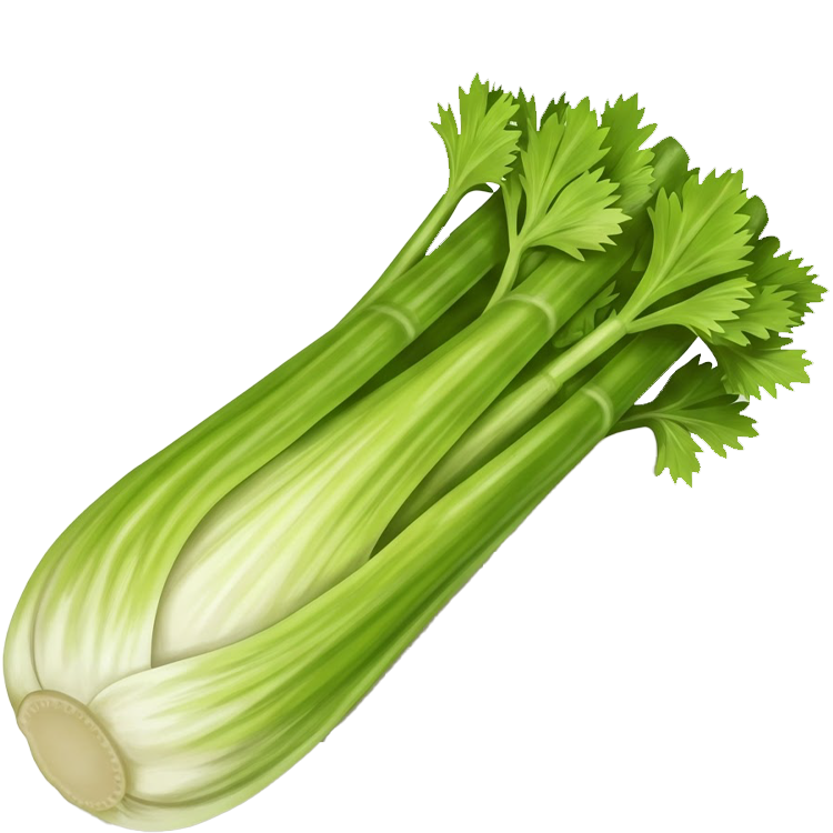 celery แปลว่า ผักคื่นช่าย