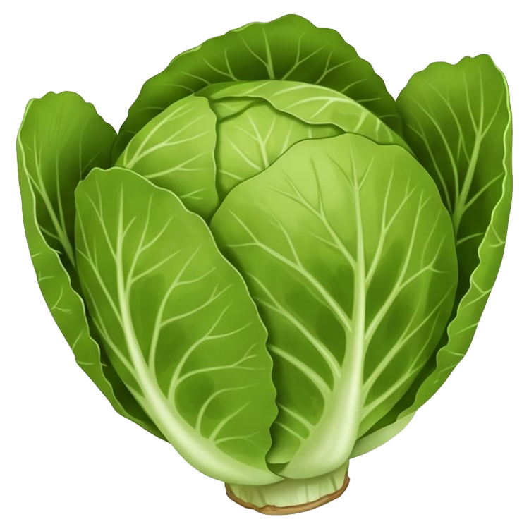 butterhead แปลว่า ผักกาดหอมชนิดหนึ่ง